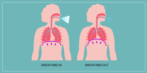 Chest Physiotherapy