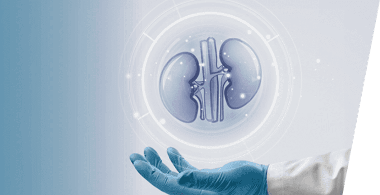  How To Maintain Health of Your Kidney?