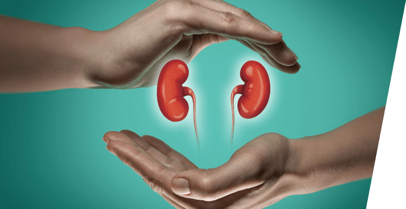 Tips to Show Your Kidneys Some Love